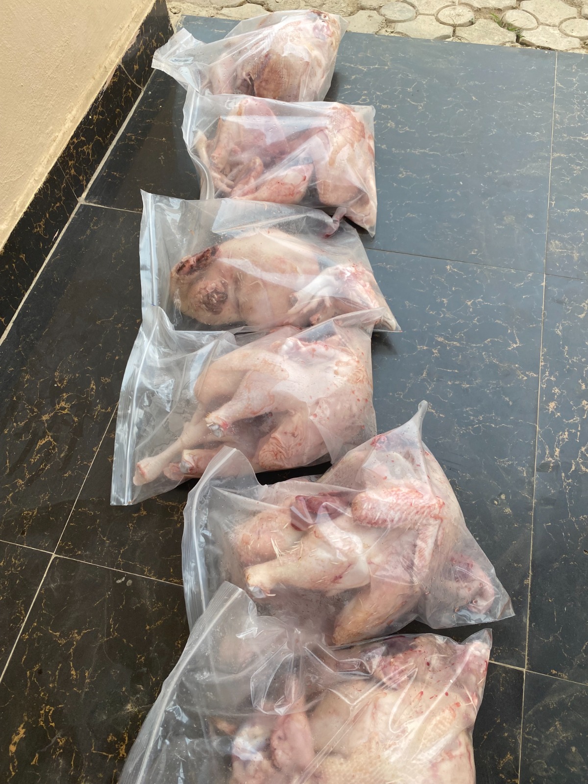 Broilers