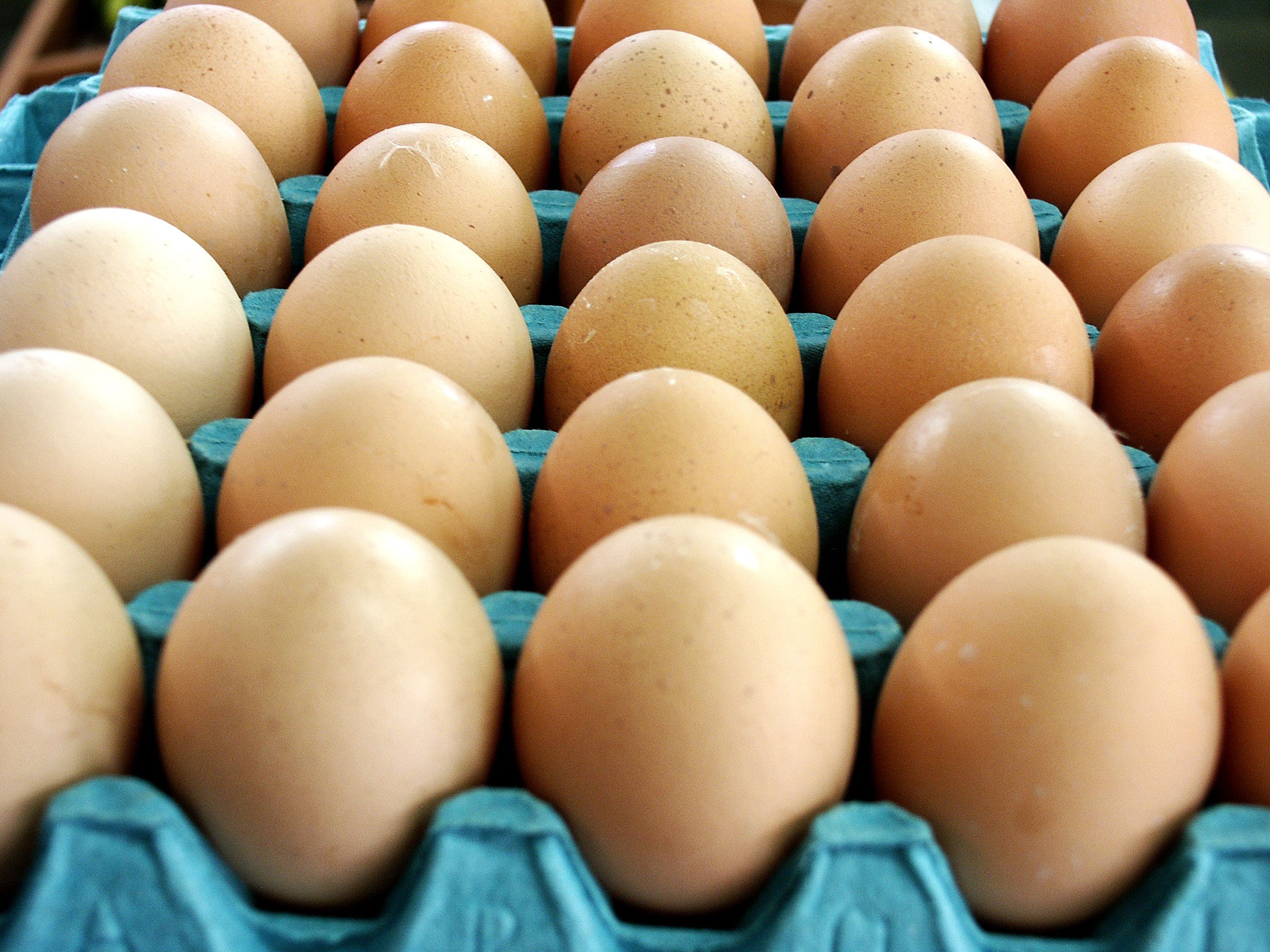 Fresh Eggs